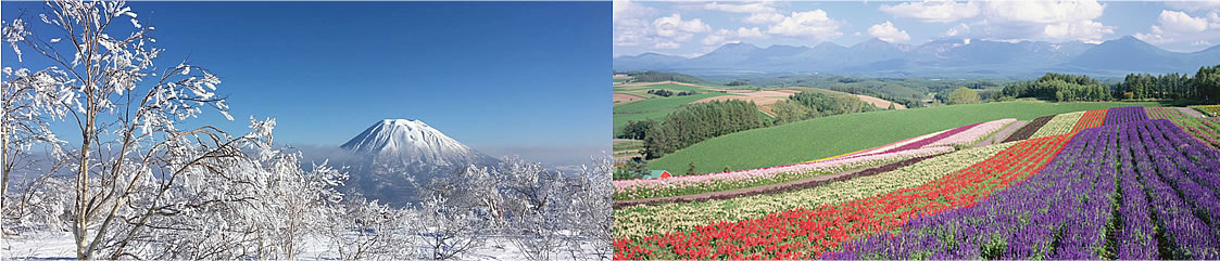 Mt.Yotei and Biei